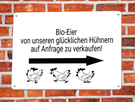 Wegweiser Bio-Eier Bild
