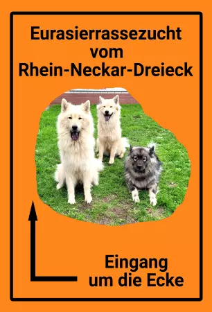 Wegweiser Eurasierrassenzucht Bild